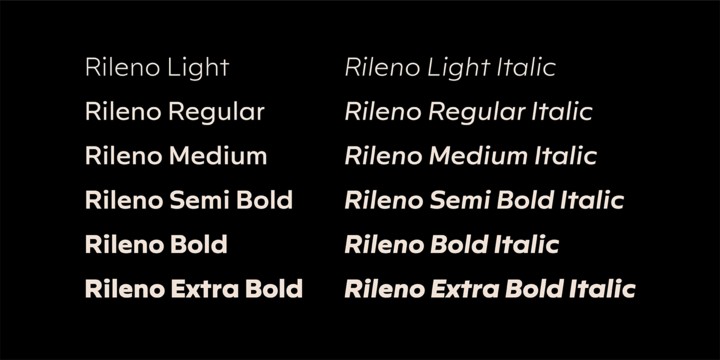 Przykład czcionki Rileno Sans Regular